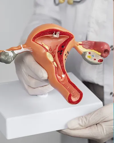 vaginoplastie 1400 euros